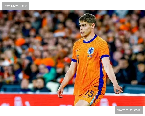 范德芬梅开二度助热刺客场三球大胜埃弗顿跃居英超第三