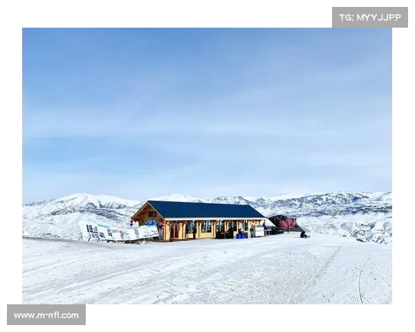 阿勒泰社区党群服务中心设自助雪票机便民购票